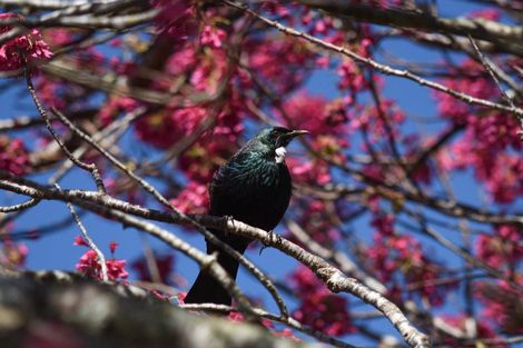 Photo of property in 588 Kapukapu Road, Hamurana, Rotorua, 3096