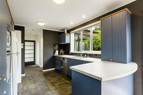 Photo of property in 116 Glenpark Avenue, Maryhill, Dunedin, 9011