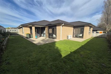 Photo of property in 47 Tupelo Street, Pukete, Hamilton, 3200
