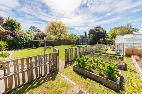 Photo of property in 59 West Street, Feilding, 4702