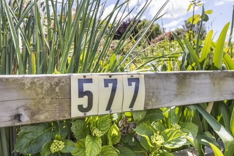 Photo of property in 577 Napier Road, Whakarongo, Palmerston North, 4470