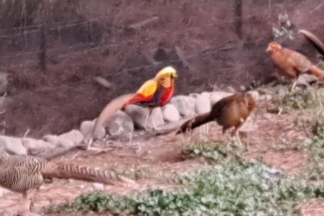 Photo of property in 10 Kingfisher Lane, Loburn, Rangiora, 7473