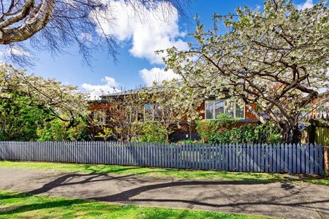 Photo of property in 58 Wellington Street, Georgetown, Invercargill, 9812