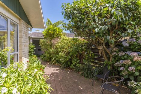 Photo of property in 29b Kanawa Street, Waikanae, 5036