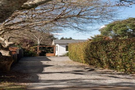 Photo of property in 14 Hastings Street, Te Puke, 3119