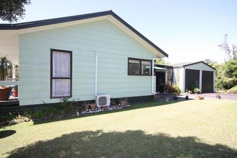 Photo of property in 101 Avalon Place, Whangamata, 3620