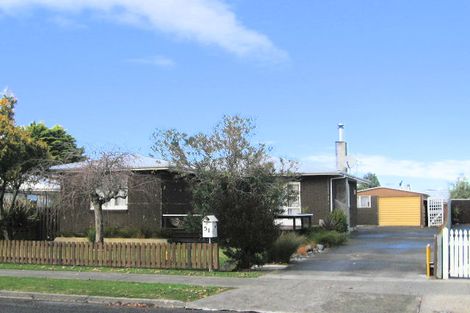 Photo of property in 51 Alexander Avenue, Onekawa, Napier, 4110