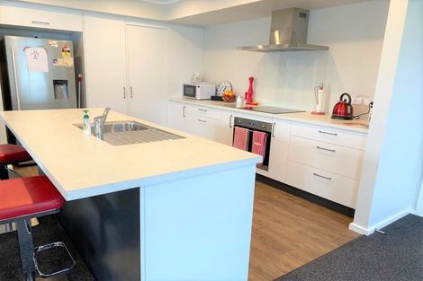 Photo of property in 36c Eton Street, Hampstead, Ashburton, 7700