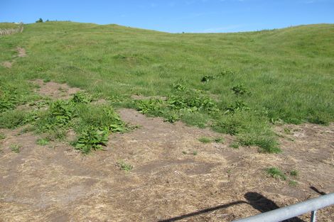 Photo of property in 215 Forest Road, Oruanui, Taupo, 3384