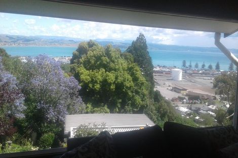 Photo of property in 28 George Street, Hospital Hill, Napier, 4110