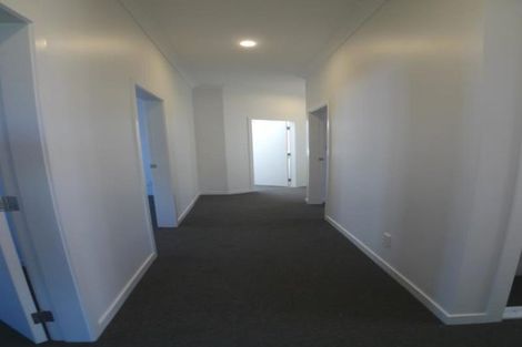 Photo of property in 7 Mckenzie Terrace, Te Aro, Wellington, 6011
