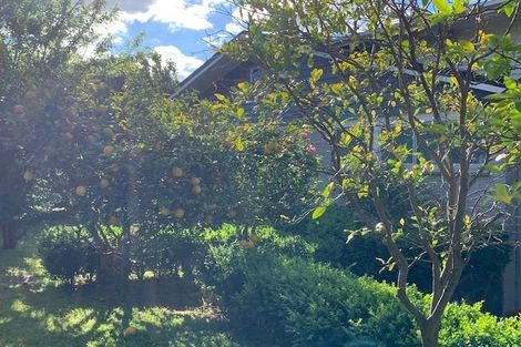 Photo of property in 3 Ivy Place, Matua, Tauranga, 3110