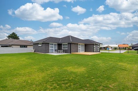 Photo of property in 9 Mervyn Brown Place, Solway, Masterton, 5810