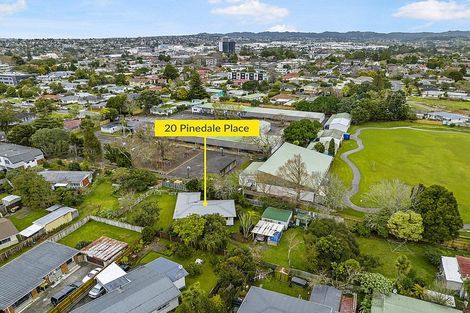 Photo of property in 20 Pinedale Place, Henderson, Auckland, 0610