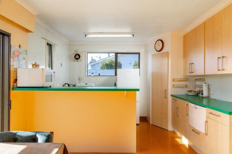 Photo of property in 21 Nosworthy Street, Blenheim, 7201