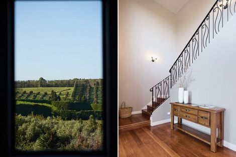 Photo of property in 300 Ongare Point Road, Tahawai, Katikati, 3170