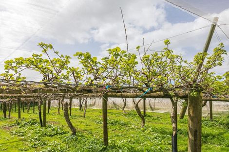 Photo of property in 231 Walford Road, Aongatete, Katikati, 3181