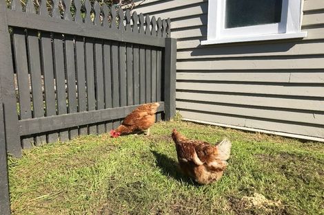 Photo of property in 81 Rogers Road, Bay View, Napier, 4104