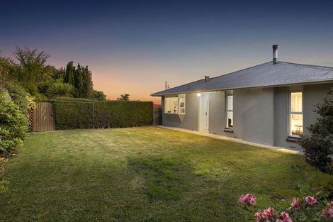 Photo of property in 20 Napier Street, Belleknowes, Dunedin, 9011