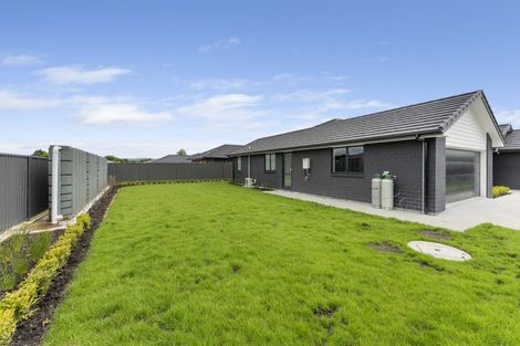 Photo of property in 11 Kauri Place, Pahiatua, 4910