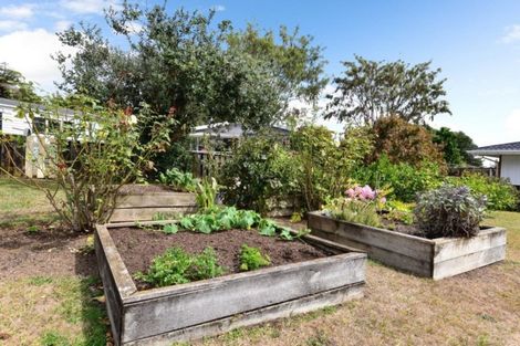 Photo of property in 10 Walpole Street, Leamington, Cambridge, 3432