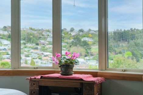 Photo of property in 13 Wairoa Street, Kaikorai, Dunedin, 9010