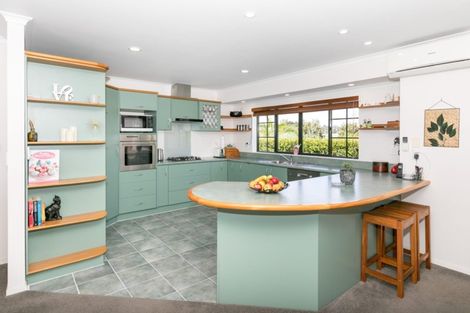 Photo of property in 14 Limousin Place, Grandview Heights, Hamilton, 3200