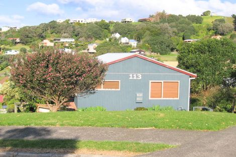 Photo of property in 113 Titiro Place, Onemana, Whangamata, 3691