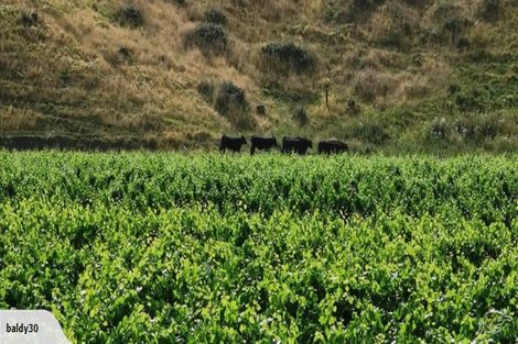 Photo of property in 373 Church Road, Greenmeadows, Napier, 4112