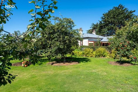 Photo of property in 56 Burgess Road, Herbert, Oamaru, 9495