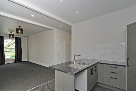 Photo of property in 290 Willis Street, Aro Valley, Wellington, 6011