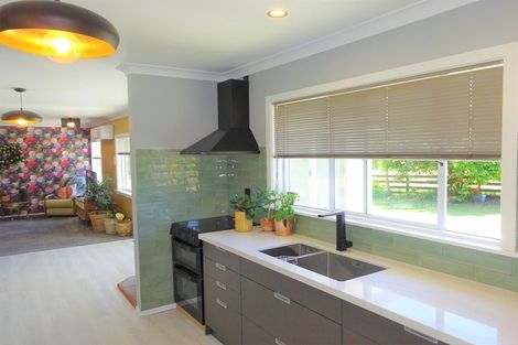 Photo of property in 170 Foxton Shannon Road, Foxton, 4893