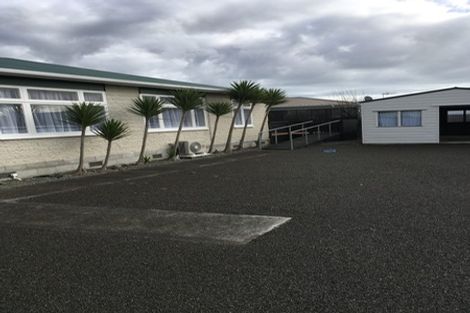 Photo of property in 11a Douglas Street, Levin, 5510