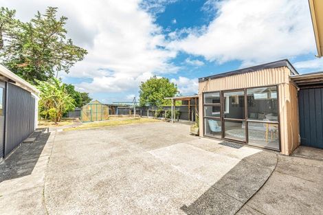 Photo of property in 17 Plunket Street, Durie Hill, Whanganui, 4500