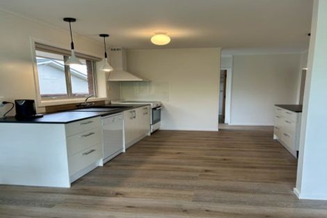 Photo of property in 55 Howell Avenue, Riverlea, Hamilton, 3216