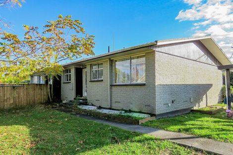 Photo of property in 19a Kowhai Street, Hamilton Lake, Hamilton, 3204