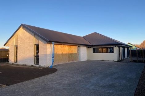 Photo of property in 38 Mills Road, Marshland, Christchurch, 8051