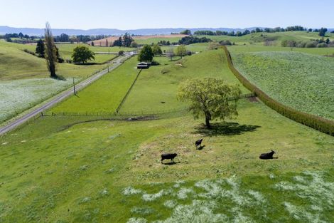 Photo of property in 3 Mcmillan Road, Tirau, 3484