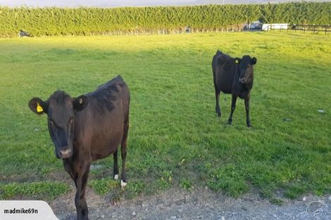 Photo of property in 131 Teapot Valley Road, Brightwater, 7091