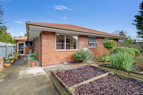 Photo of property in 219 Victoria Avenue, Hokowhitu, Palmerston North, 4410