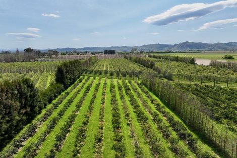 Photo of property in 19 Pilmer Road, Makauri, Gisborne, 4071