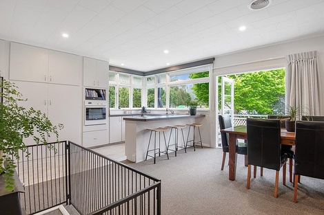 Photo of property in 22 Brown Street, Dunedin Central, Dunedin, 9016