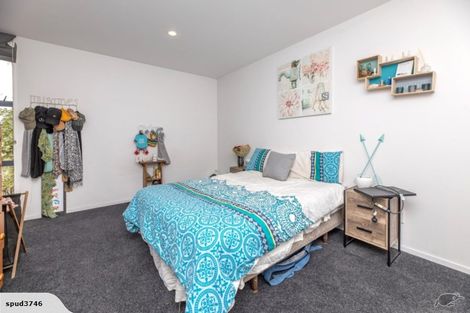 Photo of property in 2/25 Grove Road, Addington, Christchurch, 8024