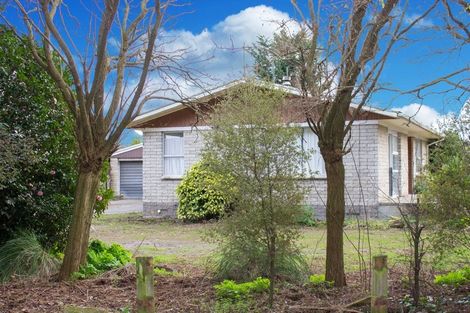 Photo of property in 53 Mills Street, Waharoa, 3401