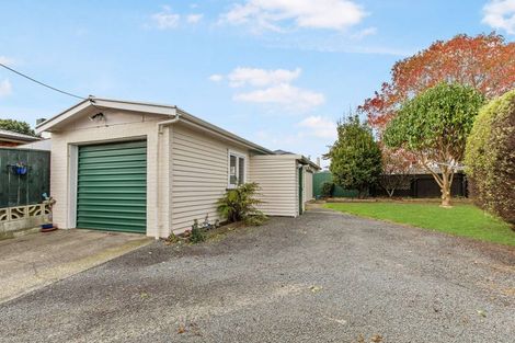 Photo of property in 10 Tawa Street, Levin, 5510