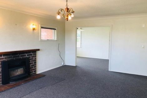 Photo of property in 916 Lawrence Street, Akina, Hastings, 4122