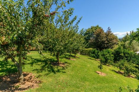 Photo of property in 10 Phillips Drive, Oropi, Tauranga, 3173