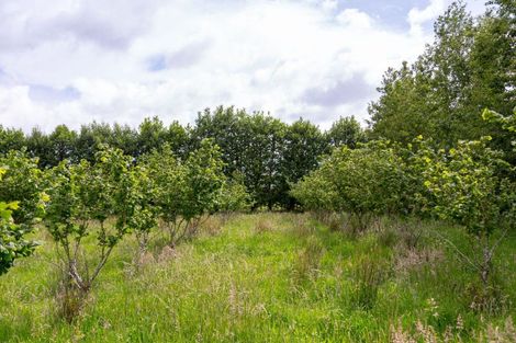 Photo of property in 179 Bidwills Cutting Road, Morison Bush, Greytown, 5794