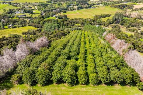 Photo of property in 64 De Boer Lane, Mangawhai, Kaiwaka, 0573