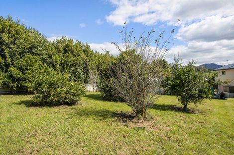 Photo of property in 79 Victoria Street, Waikino, Waihi, 3682